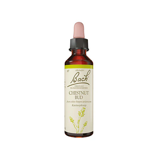 Bach Originale Blomsterremedier | Kastanjeknop