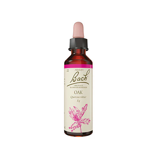 Bach Originale Blomsterremedier | Stilkeg