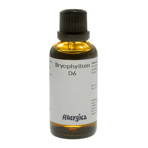 Allergica Bryophyllum D6 | 50 ml