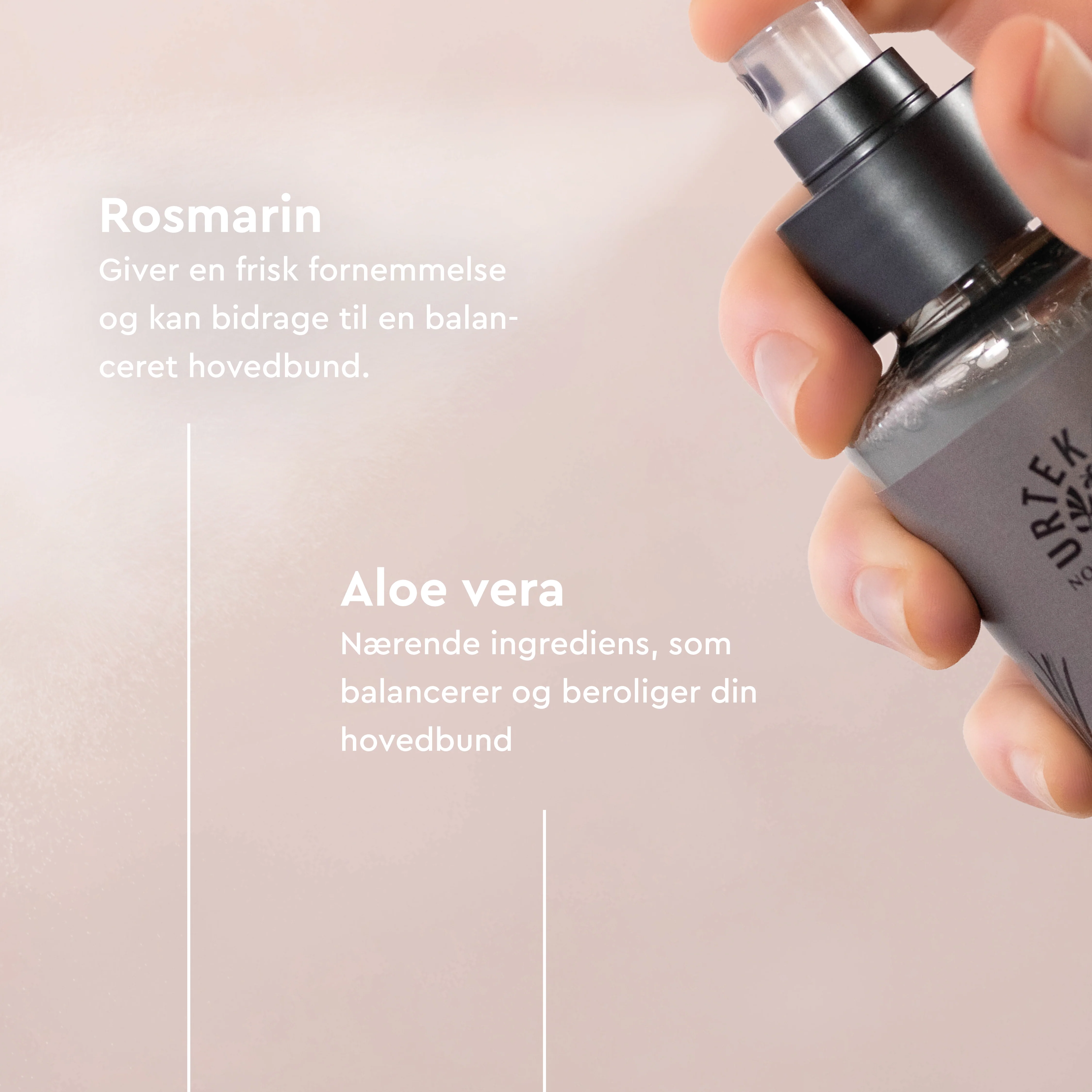 Urtekram Conditioner Spray Rosemary | 250 ml - Image 4
