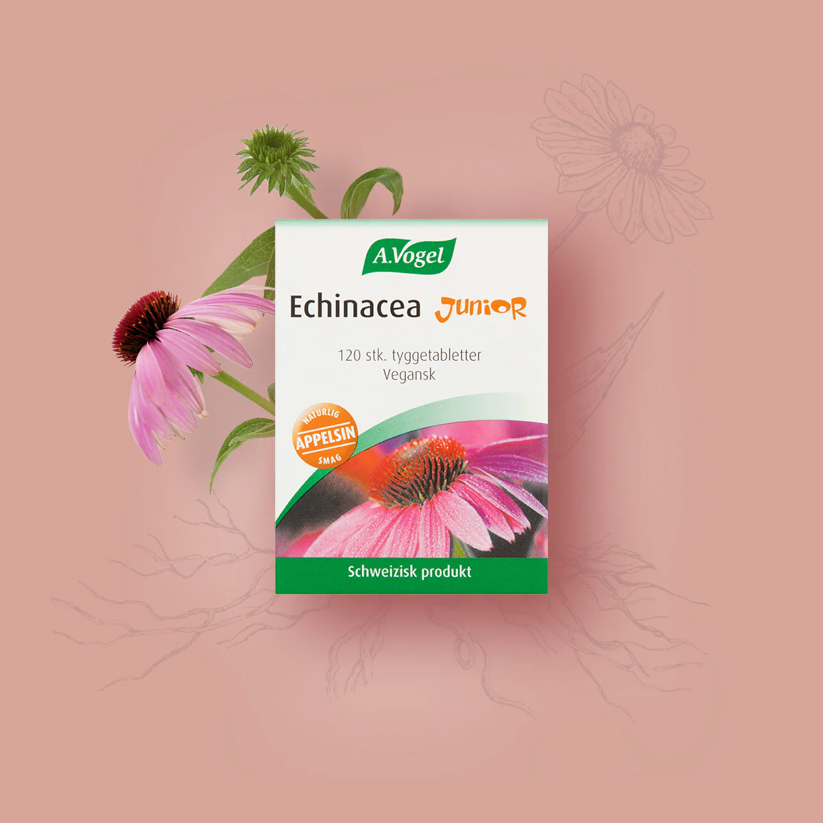 A.Vogel Echinacea Junior | 120 tabletter - Image 2