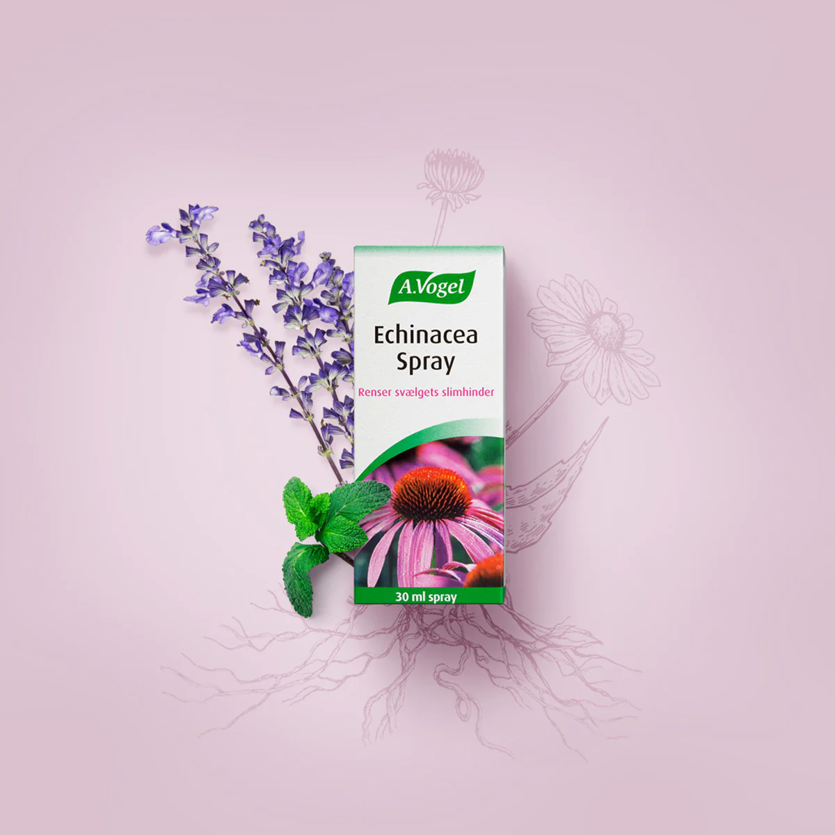 A.Vogel Echinacea Spray | 30 ml - Image 2