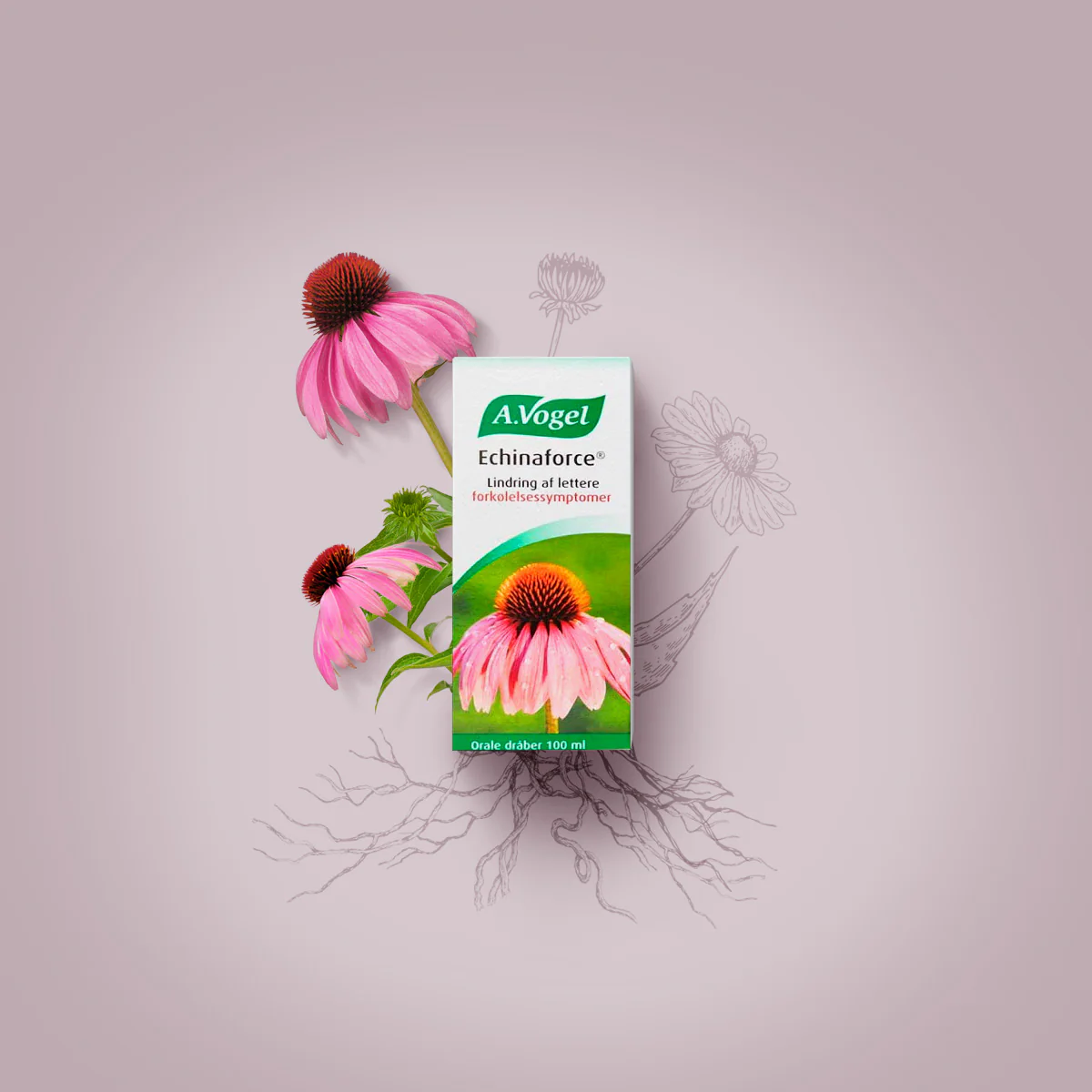 A.Vogel Echinaforce dråber | 100 ml - Image 2