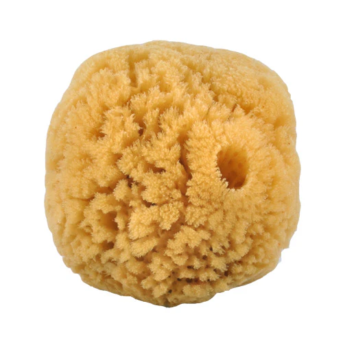 Miniaturebillede 1