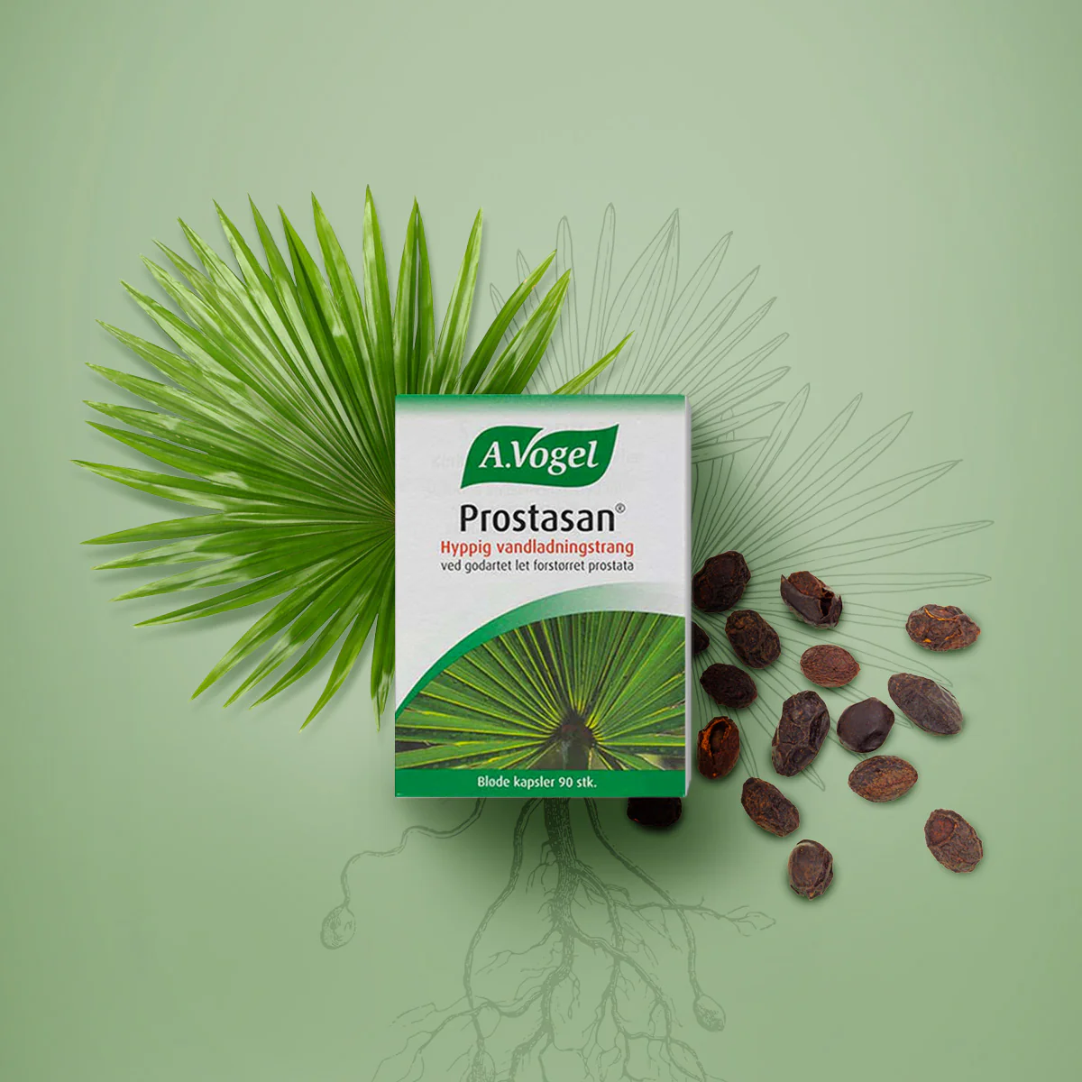 A.Vogel Prostasan | 90 kapsler - Image 2