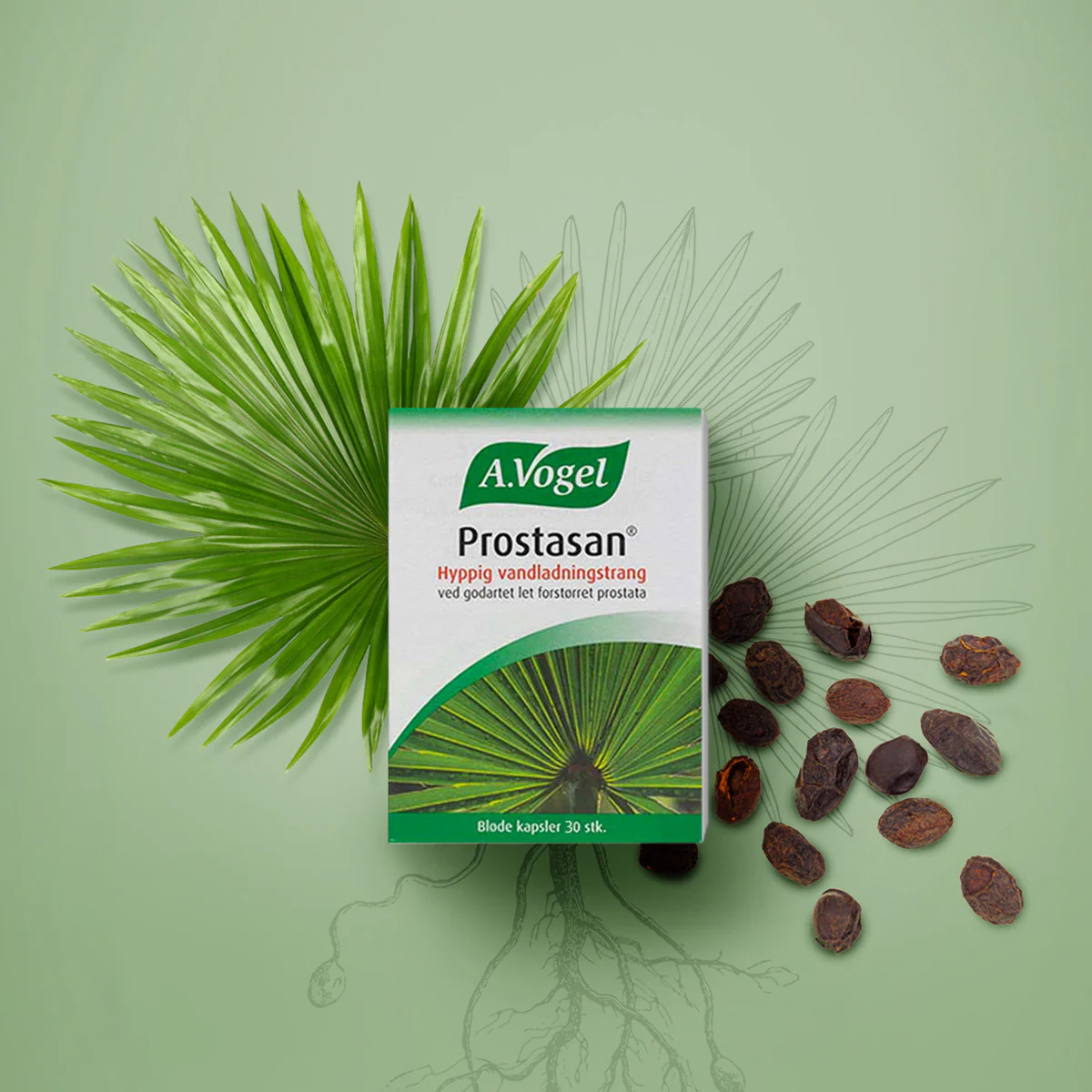 A.Vogel Prostasan | 30 kaplser - Image 2