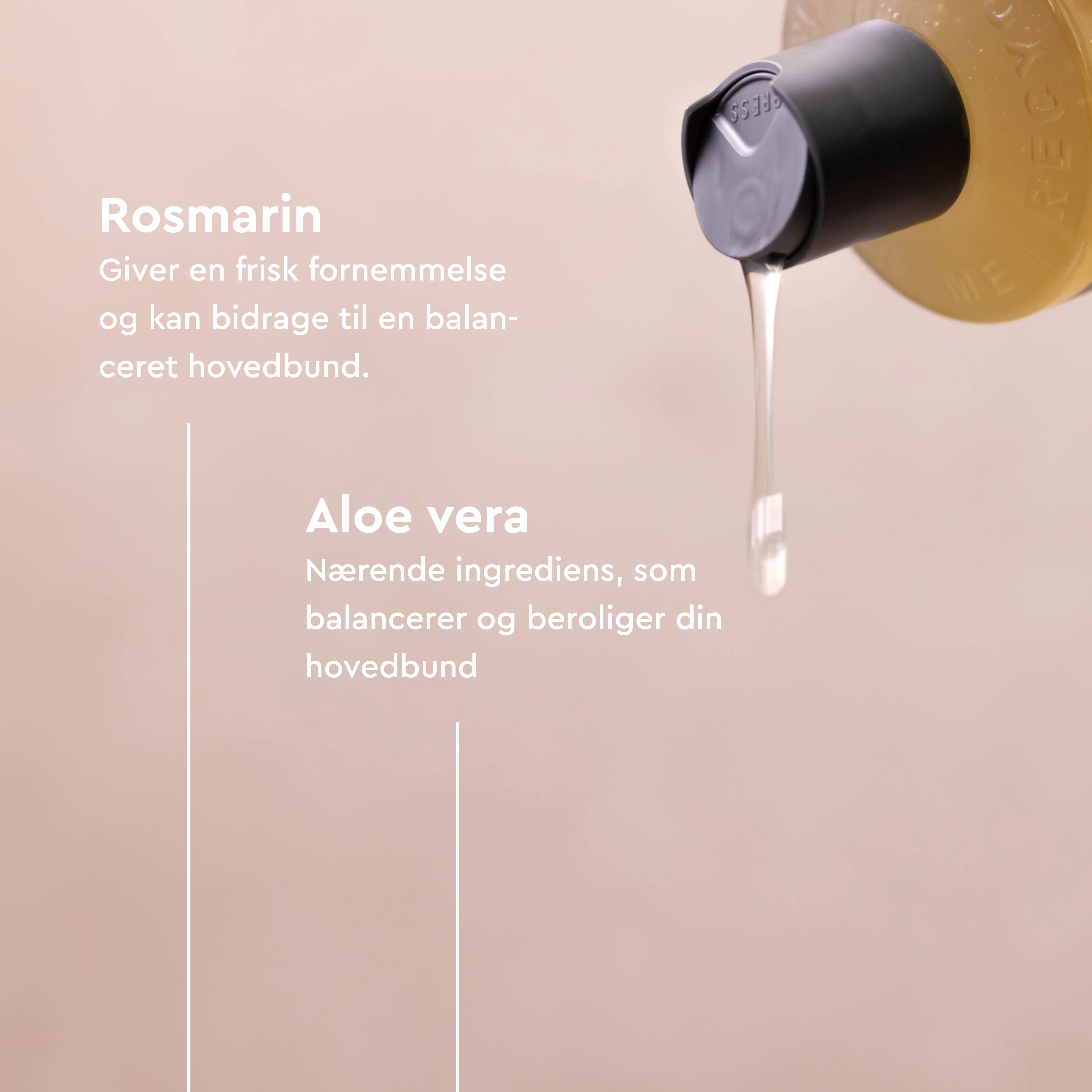 Urtekram Rosmarin Shampoo | 250 ml - Image 4